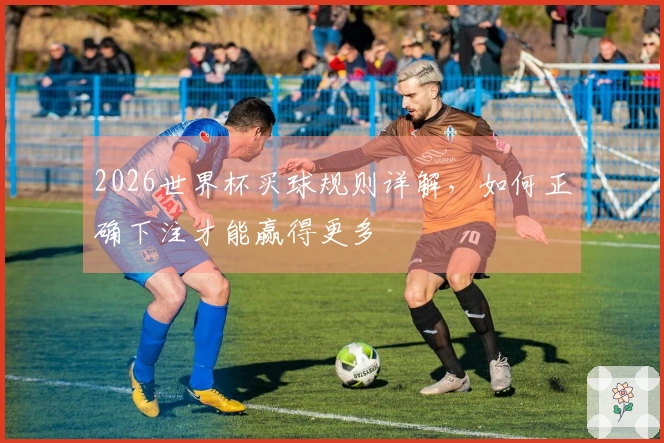 2026世界杯买球规则详解，如何正确下注才能赢得更多