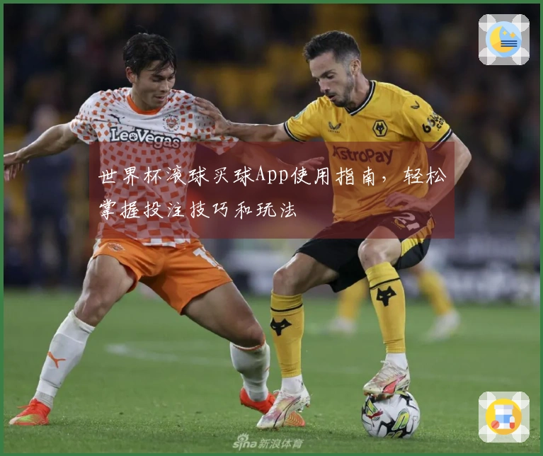 世界杯滚球买球App使用指南，轻松掌握投注技巧和玩法