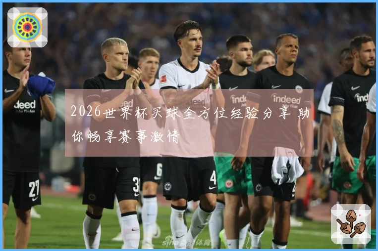 2026世界杯买球全方位经验分享 助你畅享赛事激情