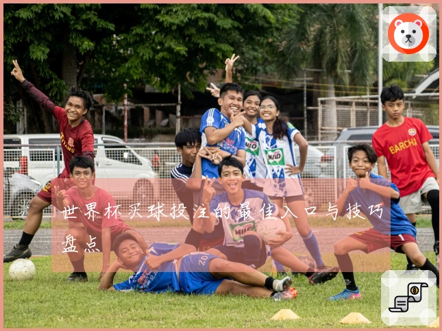 世界杯买球投注的最佳入口与技巧盘点