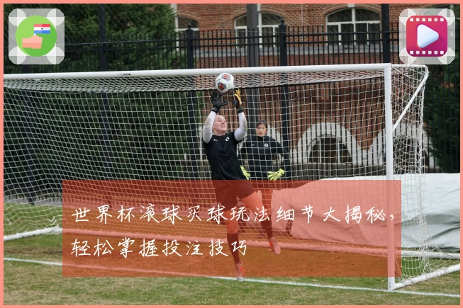 世界杯滚球买球玩法细节大揭秘，轻松掌握投注技巧