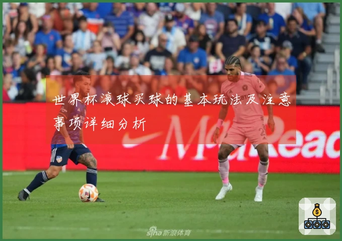 世界杯滚球买球的基本玩法及注意事项详细分析