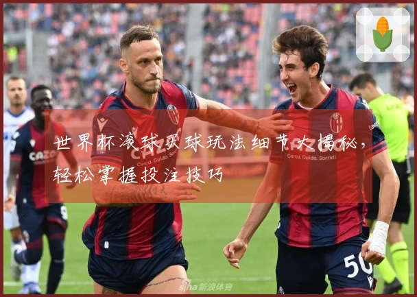 世界杯滚球买球玩法细节大揭秘，轻松掌握投注技巧