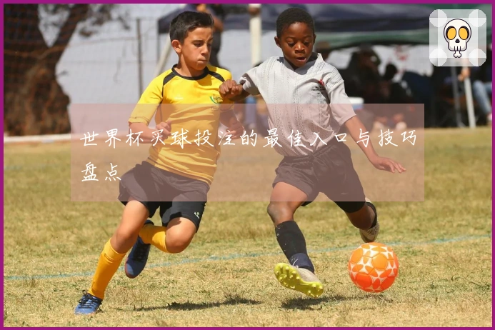 世界杯买球投注的最佳入口与技巧盘点