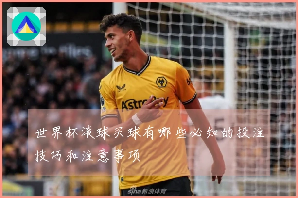 世界杯滚球买球有哪些必知的投注技巧和注意事项
